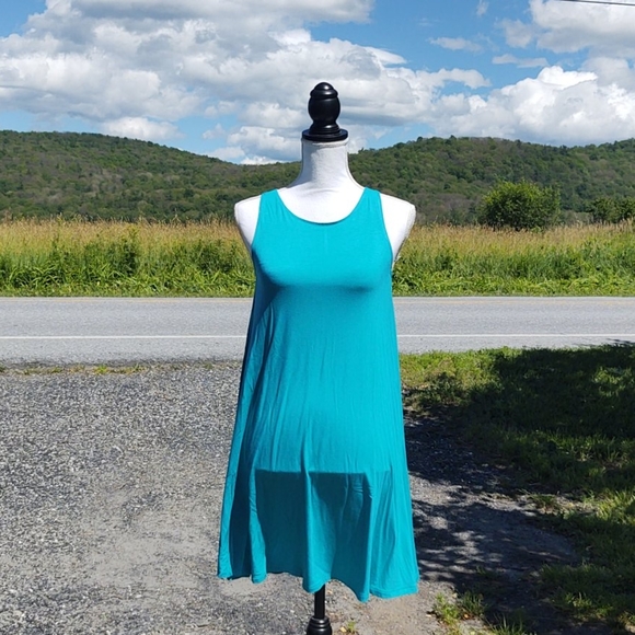 Old Navy Dresses & Skirts - NWT! Sleeveless Old Navy Swing Dress Petite Small